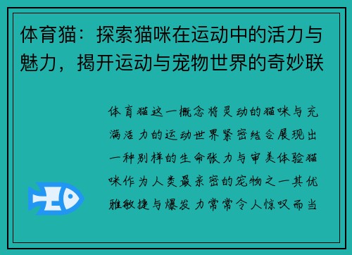 体育猫：探索猫咪在运动中的活力与魅力，揭开运动与宠物世界的奇妙联系